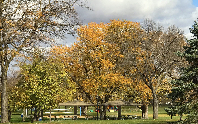 Fantle Memorial Park Concrete Shelter