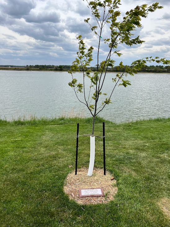 2022 Riverside Park tree memorial