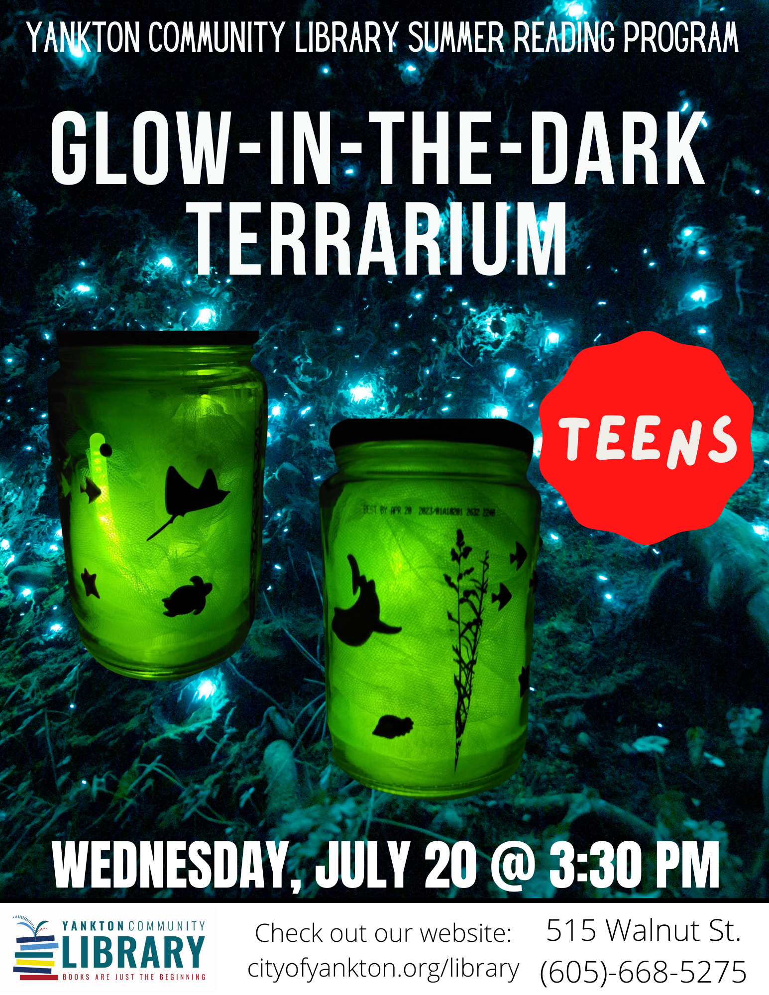 Teen Glow in the Dark Terrarium