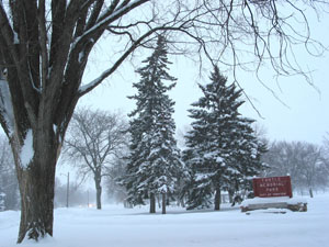 memorial_park_snow